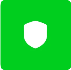 Security Standards Icon